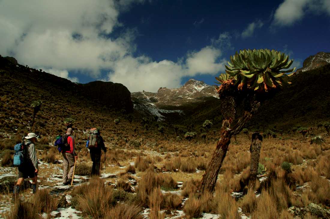 Trekkers ascending Mount Kenya |  Sue Badyari