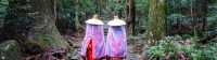 Explore Japan at your paceon a self-guided hiking tour |  JNTO