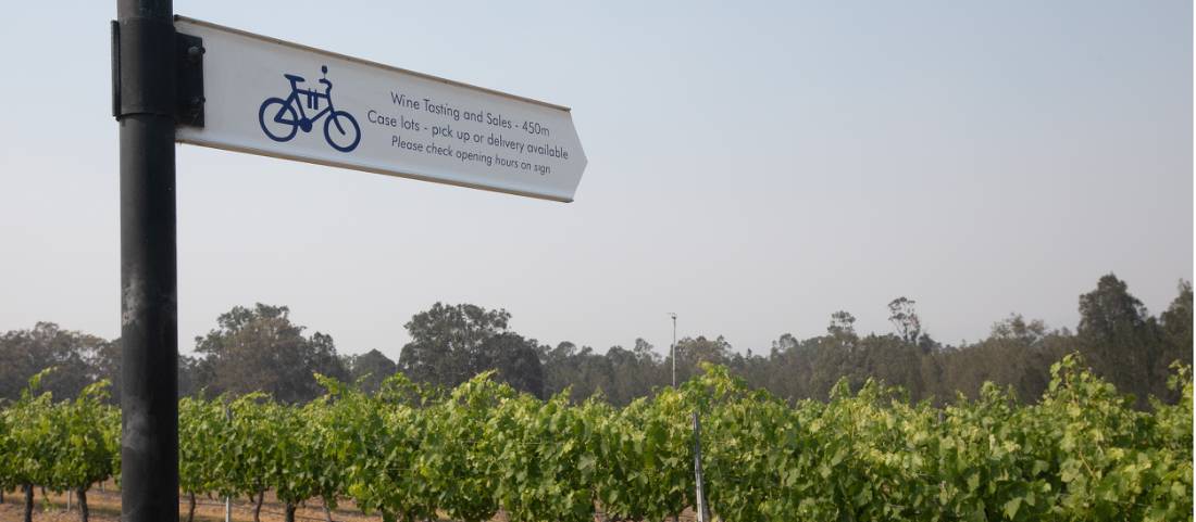 Follow the Hunter Valley's dedicated cycle route |  <i>Bruce Baker</i>