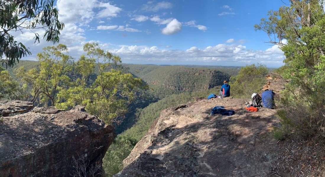 Lunching at the Lost World | <i>Michael Buggy</i>