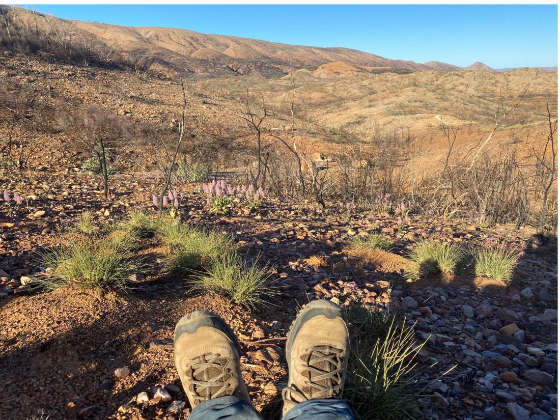A classic 'feet up' moment on the Larapinta |  <i>#cathyfinchphotography</i>