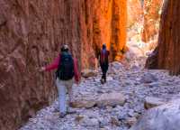 The cultural conversation at Standley Chasm will teach you more about Arrente country |  Luke Tscharke