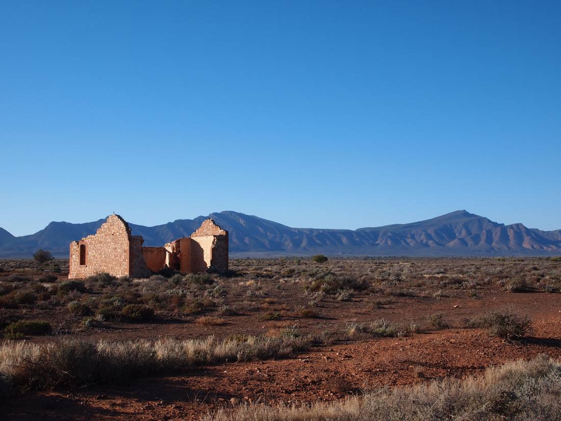 Settler ruins in the Flinders Ranges |  <i>Tim Morris</i>