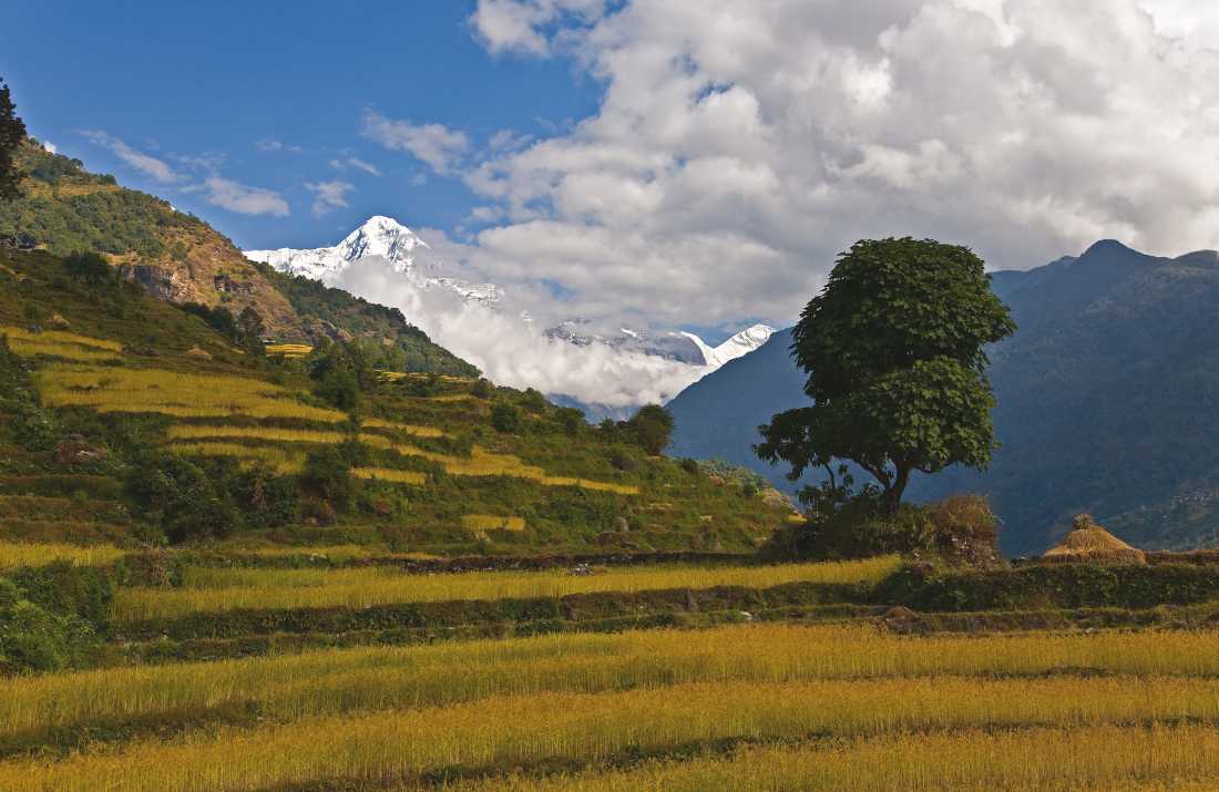 The trails of the Annapurna region are dotted with small villages |  Peter Walton