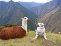 Making new friends on the Inca Trail |  Bette Andrews
